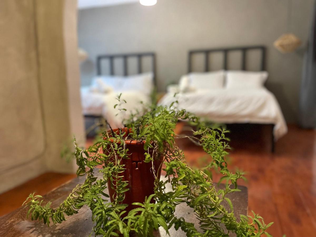 Hotel Villa Helena San Miguel de Allende Bagian luar foto