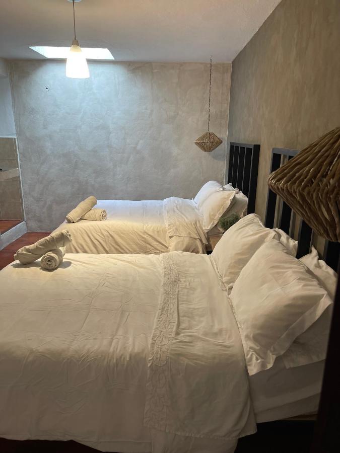 Hotel Villa Helena San Miguel de Allende Bagian luar foto